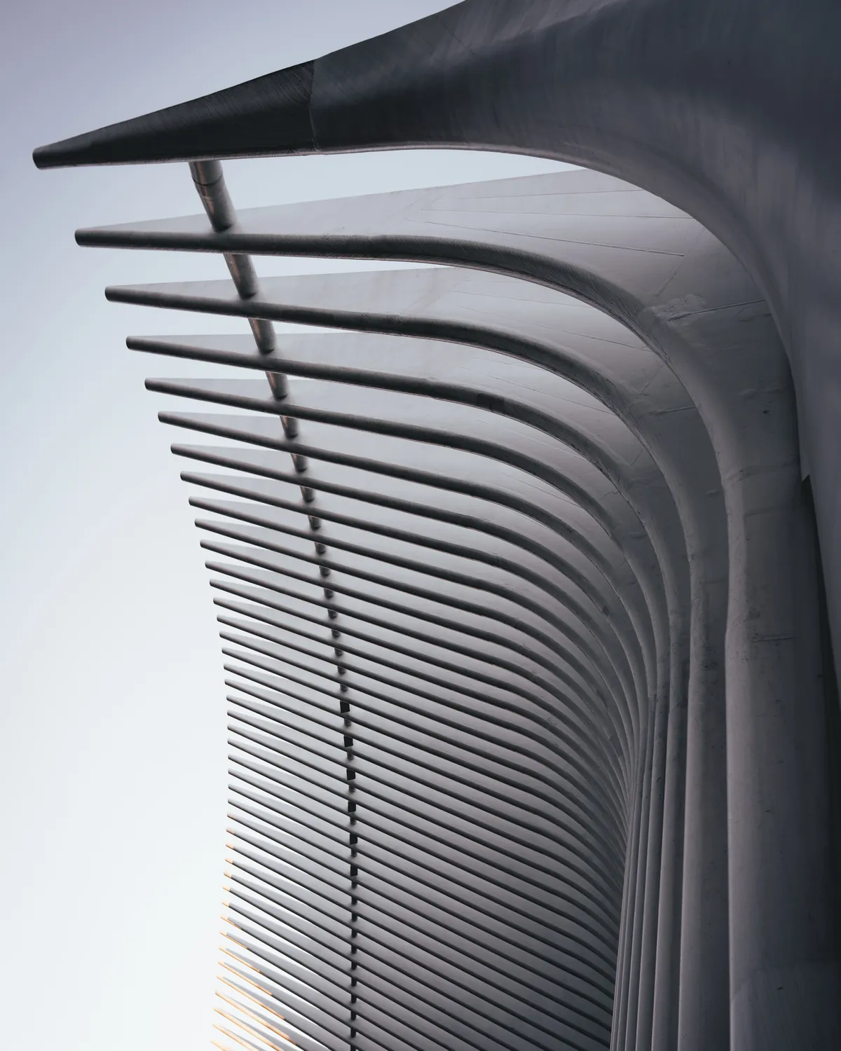 White steel ribs fanning upward in a tight, ordered rhythm against a pale sky.